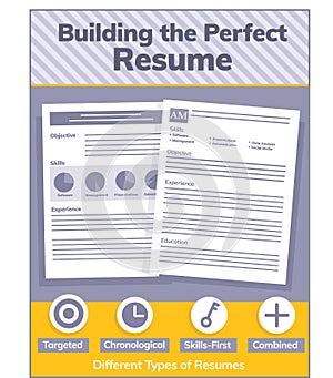Illustration infographic of how to build the perfect resume.