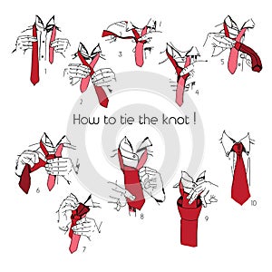Illustration of Instructions, Scheme, Brochure for How to tie knot