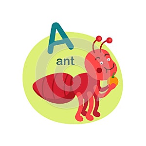 Illustration isolated alphabet letter a-ant