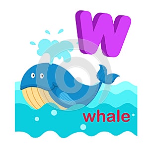 Illustration Isolated Alphabet Letter W Whale