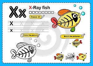 Illustration Isolated Animal Alphabet Letter X-x rayfish