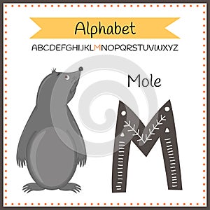 illustration of isolated animal Illustration of an alphabet M is for mole