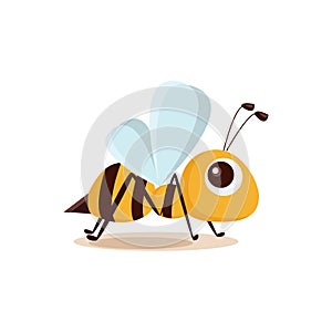 Illustrazioni da progettazione della pittura ape 