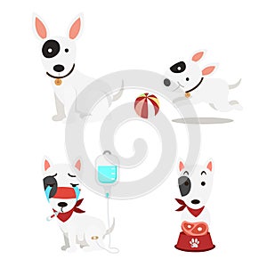 Illustration isolated cute dogs set on white background