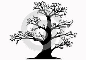 Illustration of an isolated silhouette of a large branchy tree. sprawling old oak