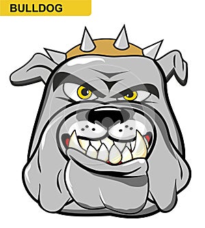 Illustration isolated of a wild and angry bulldog