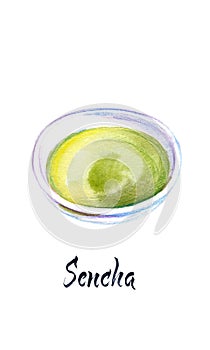 Illustration of Japanese tea, Sencha tea