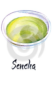Illustration of Japanese tea, Sencha tea