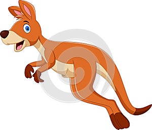 Illustration of Jumping kangaroo cartoon