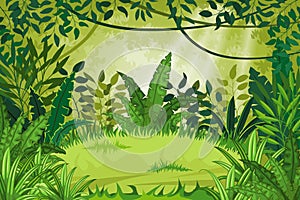 Illustration jungle landscape