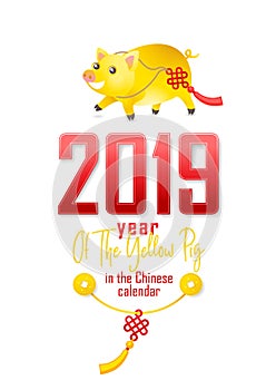 Illustration of kawaii pig, symbol of 2019 on the Chinese calendar.