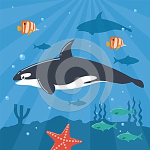 Illustration of Killer Whale Underwater