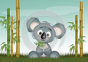 illustration of koala with eucalipto in the jungle photo
