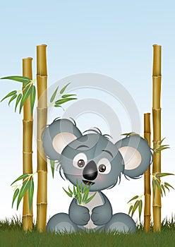 illustration of koala in the jungle
