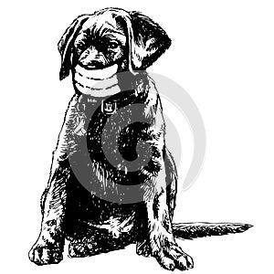 Illustration of Labrador Retriever dog with mask