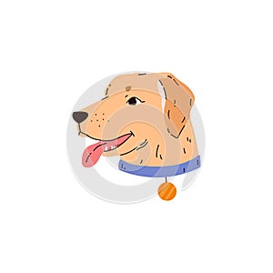 Illustration of a Labrador Retriever's head, side view on an isolated background.