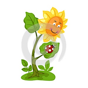 Illustration of ladybug on sunflower