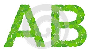 Illustration of the letters A and B alphabet, green spring-summer.