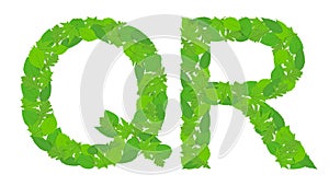 Illustration of the letters Q and R alphabet, green spring-summer.