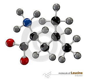 Illustration of Leucine Molecule isolated white background
