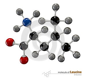 Illustration of Leucine Molecule isolated white background photo