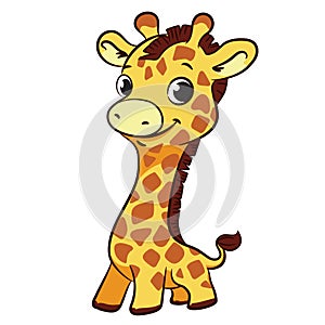 Illustration of little cute giraffe on white background