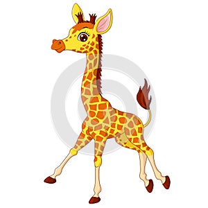 Illustration of little giraffe calf running