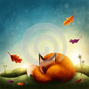 Illustration of a little red fox