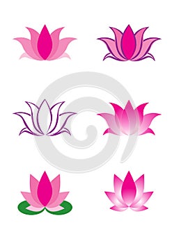 Illustration of lotus flower