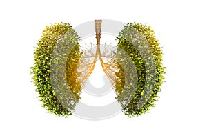 Ilustraciones de pulmones un árbol ambiente a 