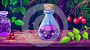 Illustration of magic mushroom potion with fly agaric, green branch and red berries, witchcraft or medicine ingredients