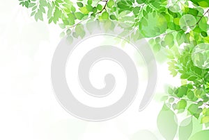 Illustration material that imagined fresh green
