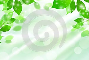 Illustration material that imagined fresh green