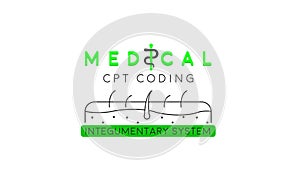 Medical CPT coding for the Integumentary System photo