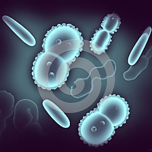 Illustration of microscopic bacteria cells