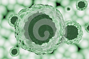 Green Stem Cells  photo