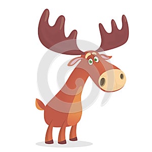 Illustration of the mighty and beautiful forest moose.