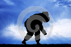 Illustration of monkey man