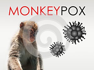 Illustration of monkeypox, infectious disease caused by the monkey pox virus. Multi-country outbreak, the new cases