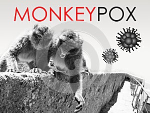 Illustration of monkeypox, infectious disease caused by the monkey pox virus. Multi-country outbreak, the new cases