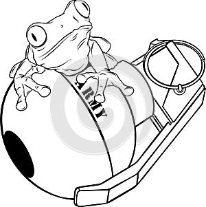 vector illustration of frog on hand granate