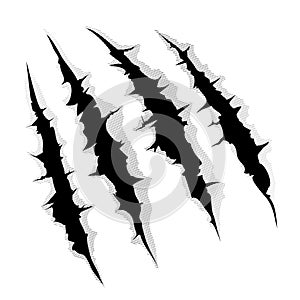 Claws scratches on white background design vector illustration