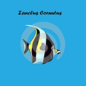 Illustration of Moorish Idol fish