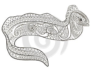 Illustration of a moray in tracery style. photo