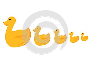 Illustration of a mother duck and chicks lining up