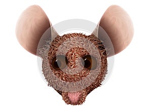 Illustration of mouse head isolated on white background