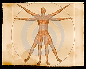 Ilustrace sval muž 