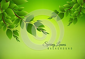 Illustration nature background with green leaves
