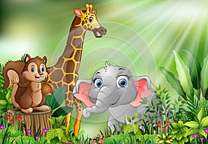 Cartoon of the nature scene with different animals