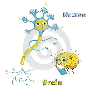 Illustration of neuron and brain